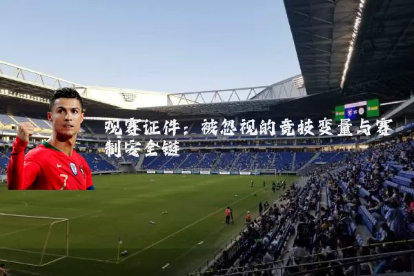 观赛证件:被忽视的竞技变量与赛制安全链
